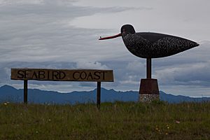 Seabird Coast