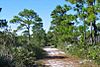 SeabranchPreserveStatePark.jpg