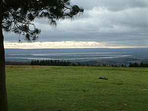 Severn from May Hill