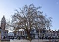 Tate Plane, Brixton