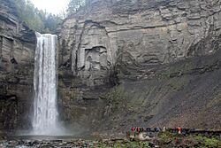 TaughannockFalls Gorge.jpg