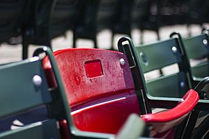 The Lone Red Seat