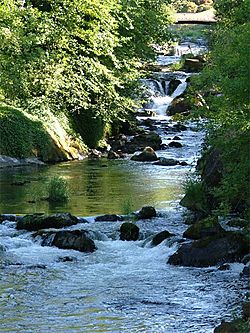 Tumwater Falls