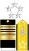 US Navy O11 insignia.svg