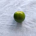 Unripe persimmon