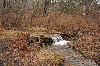 VernonCT ValleyFallsHatcheryAreaBrook.jpg