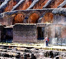 Weed Whacking the Colosseum (2883935844)