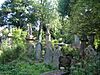 Abney Park Cemetery