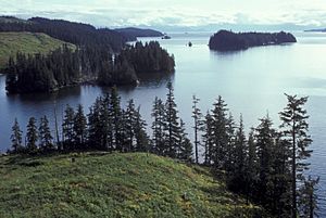 Afognak coastline