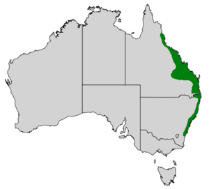 Map of Australia showing highlighted range covering eastern Queensland and New South Wales