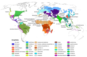 Anopheles-range-map.png