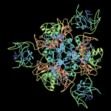 Apartate-carbamoyltransferase-pdb-2ATC