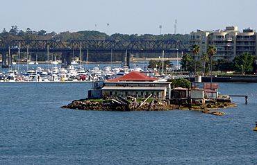 Australia sydney snapper island.jpg