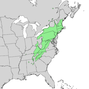 Betula lenta range map 1.png