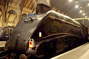 Bittern locomotive king's cross