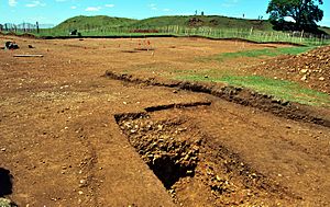 Burrough Hill Excavations June 2011