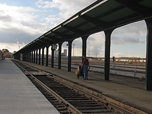 Butterfly Canopy at Ogden, Utah