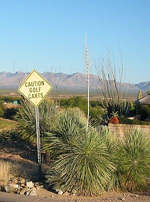 Caution golf carts