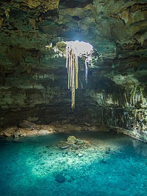 Cenote in valladolid mexico (21362599476)