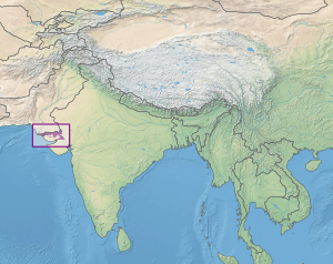 Rann of Kutch seasonal salt marsh ecoregion