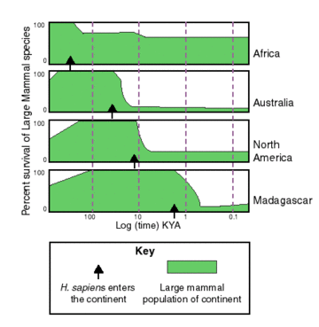 Extinctions Africa Austrailia NAmerica Madagascar