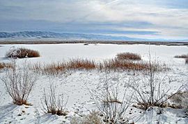 Fallon National Wildlife Refuge snow.jpg