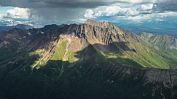 Fireweed Mountain.jpg