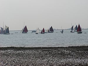 Fishing Smacks Mersea 2004