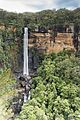 Fitzroy Falls (21891299014)