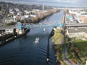 Fremont Bridge-4.jpg