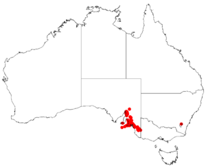 Hakea carinataDistMap18.png