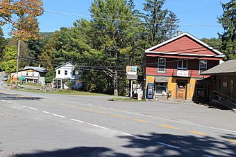 Historic District, Equinunk PA.JPG