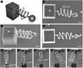 Hookes law nanoscale