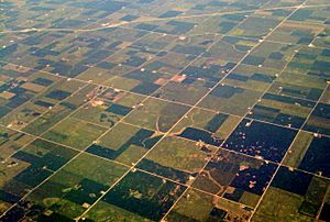 Indy farmland 2