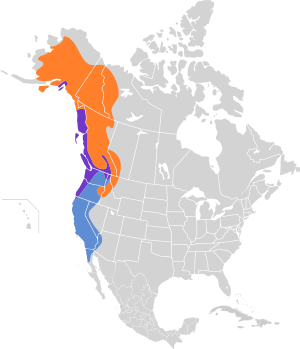 Ixoreus naevius map.svg