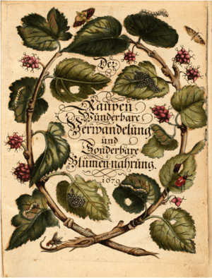 Maria Sibylla Merian Der Raupen wunderbare Verwandelung und sonderbare Blumennahrung Band 1