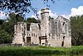 McKinney homestead ruins 2007