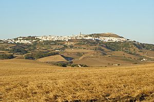 MedinaSidonia-Vista carretera.JPG