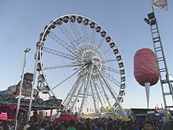 Phoenix-La Grande Wheel-1