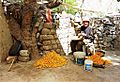 Preparing apricots. Alchi Monastery, Ladakh