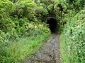 Rimutaka Incline 04