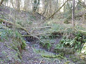 River Line SSSI (2).jpg