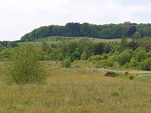 Shipley Hill - geograph.org.uk - 15880