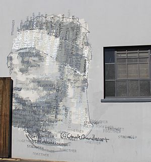 Siya Kolisi Mural, Salt River