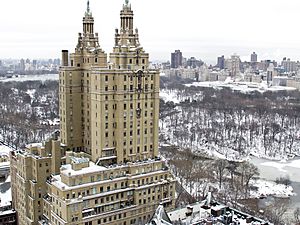 Snowedcentralpark