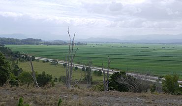 Tweed Valley viewed from Duranbah.jpg