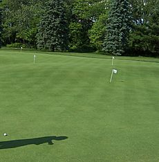 USGA Museum Putting Course