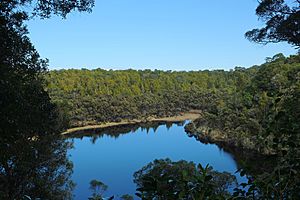 View over Lake Wilkie.jpg