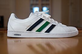 An Adidas shoe