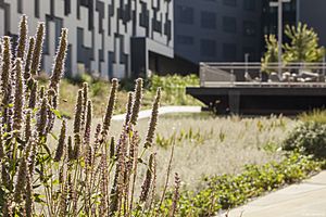 BOAnet Landscape BUSarchitektur Campus WU